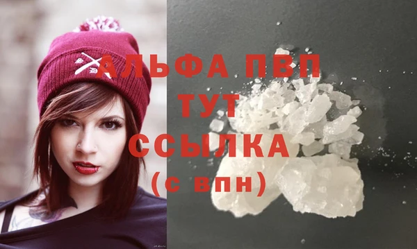 стаф Алексин