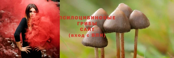 стаф Алексин