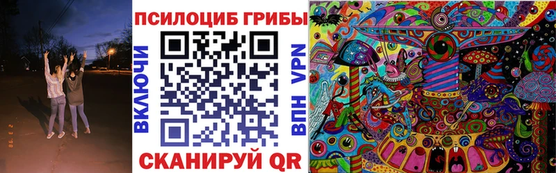 Галлюциногенные грибы Psilocybe Бронницы